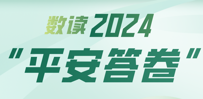 ?數讀2024“平安答卷”